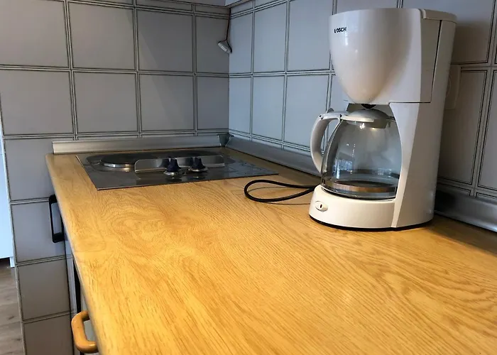 Center 塞拉内华达